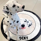 Premium Custom Pet Portrait Rug
